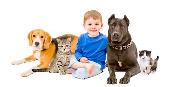 Denver Pets