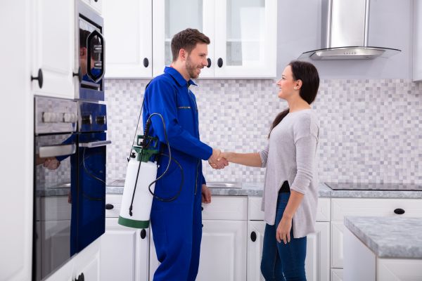 Denver Pest Control Service