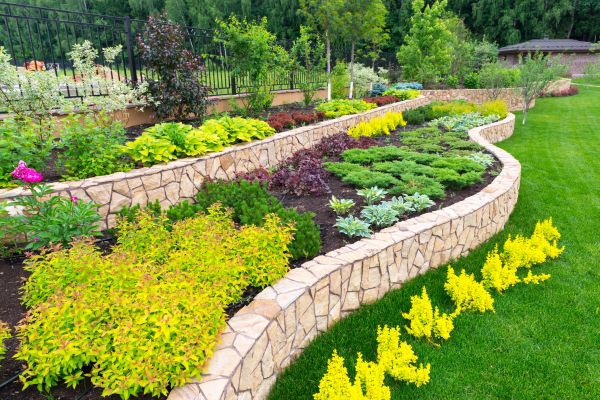 Denver Landscaping