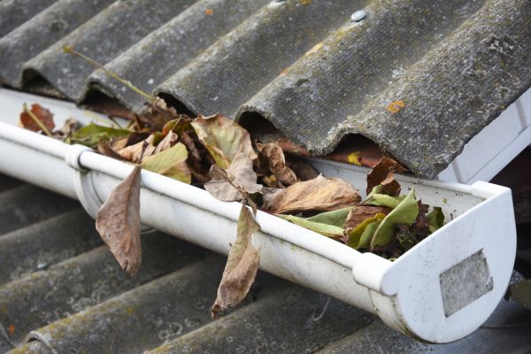 Denver Gutter Cleaning